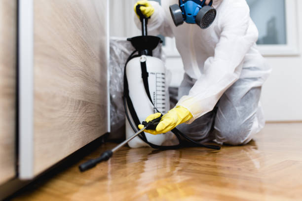 Best Termite Control Services  in White Marsh, MD