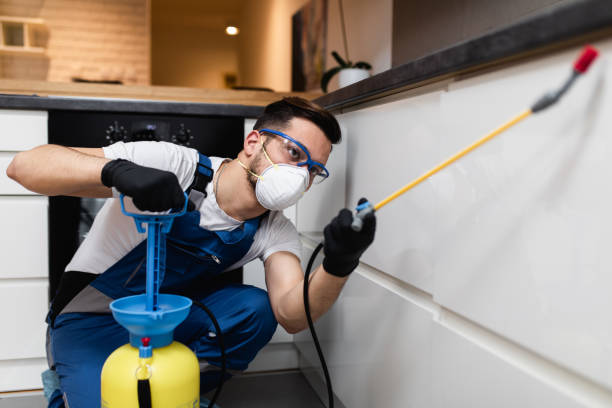 Best Flea Control Services  in White Marsh, MD
