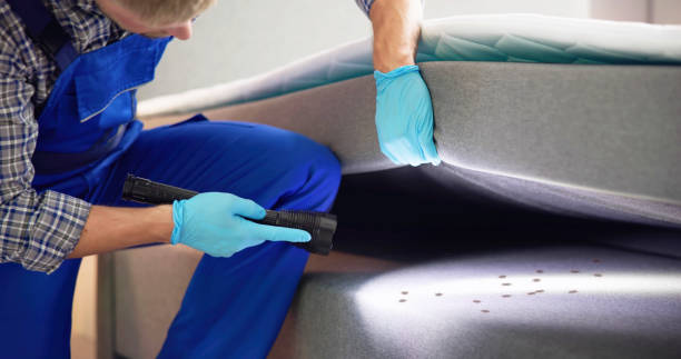 Best Termite Control Services  in White Marsh, MD
