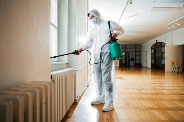 Reliable White Marsh, MD Pest Control Solutions